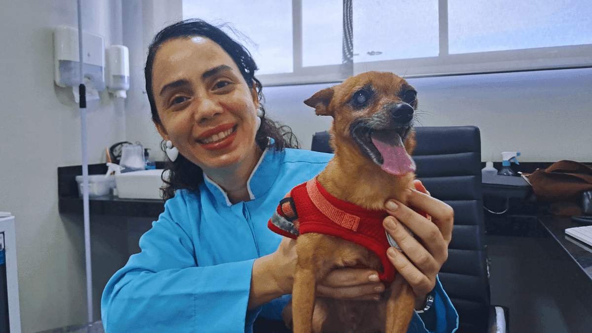 Cannabis bom para cachorro: como a cannabis tem transformado a vida dos pets