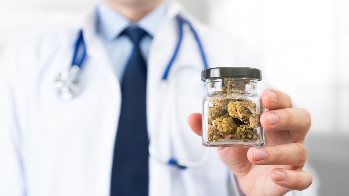 Granada aprova descriminalização da cannabis para uso adulto e prevê indústria medicinal