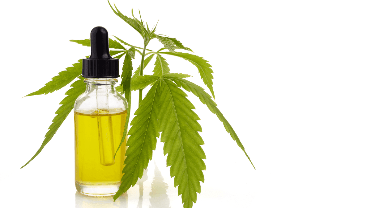 Formas seguras de usar cannabis: as dicas da dentista canábica Joyce Bernardo 