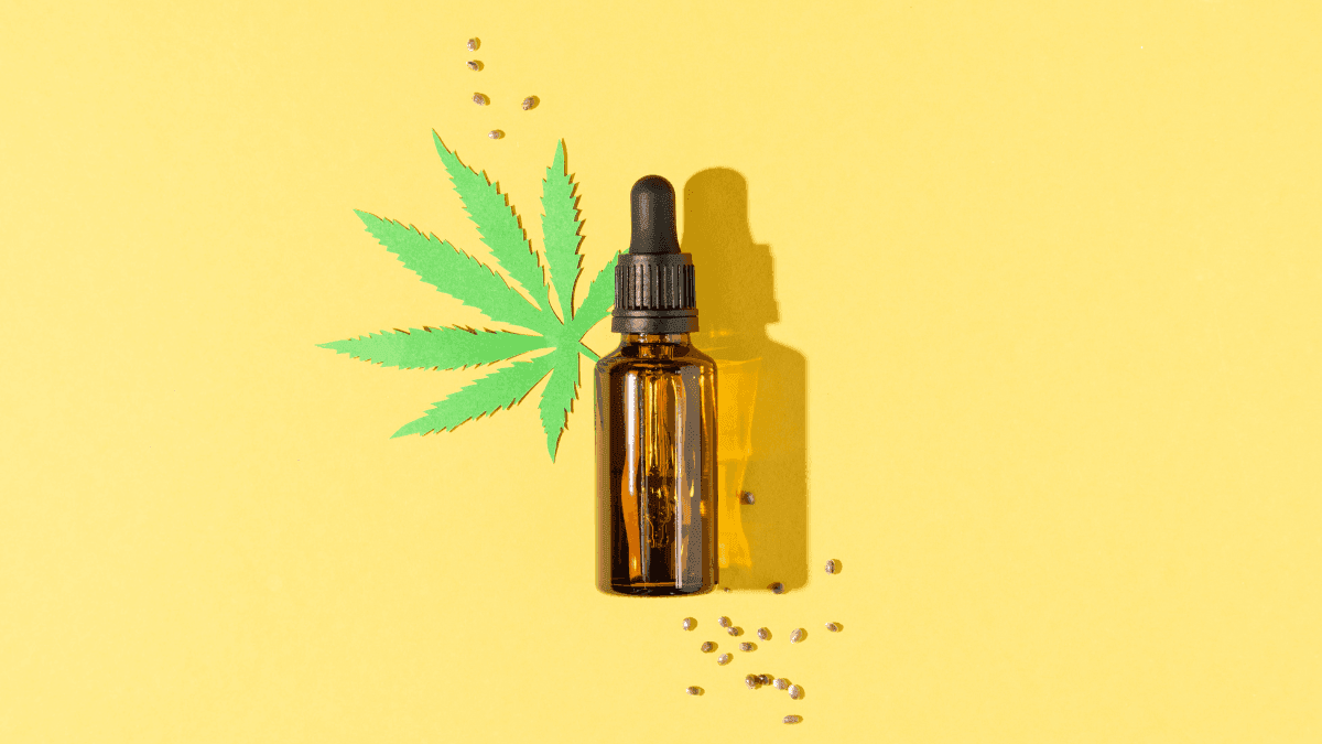 Desvende o universo da cannabis: uma leitura informativa e inspiradora para encerrar o ano