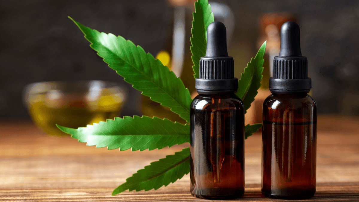 Sistema endocanabinoide: a chave para uma medicina mais humana