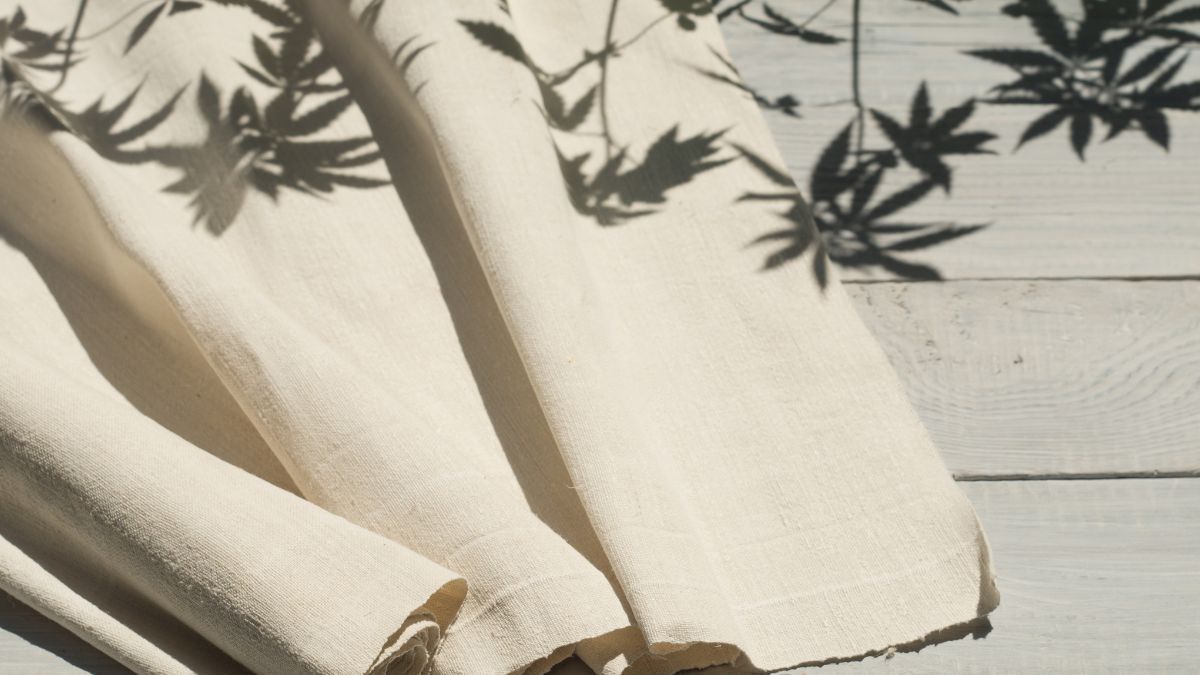 Cânhamo supera resistência do algodão em até 55% em testes realizados no Brasil