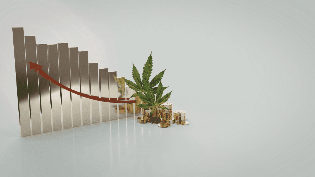 Eleitores participam das primárias democratas no Texas com consulta sobre legalização da cannabis