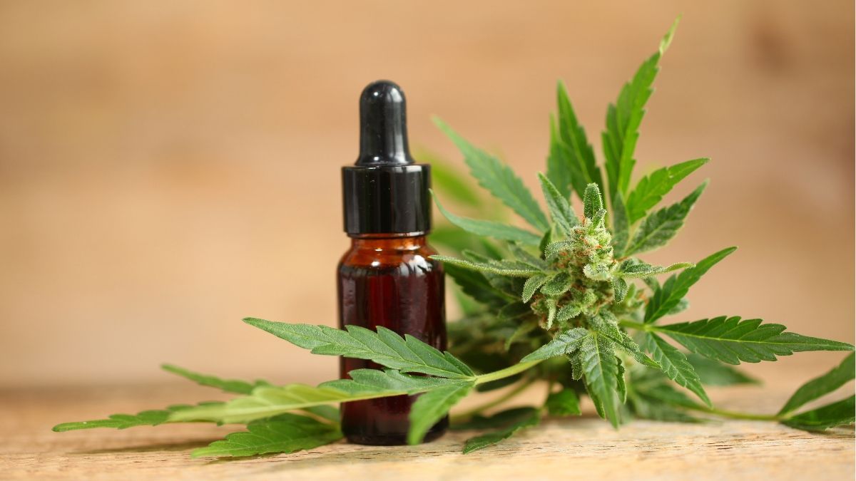 Justiça garante fornecimento de canabidiol a criança com epilepsia no RS, contrariando parecer técnico