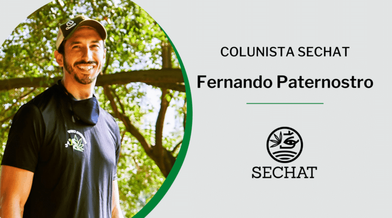 A Cannabis como porta de entrada para… uma vida mais saudável!