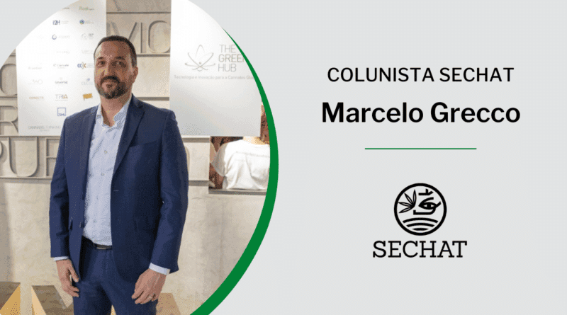 A cannabis e a importância da opinião pública como aliada no Brasil