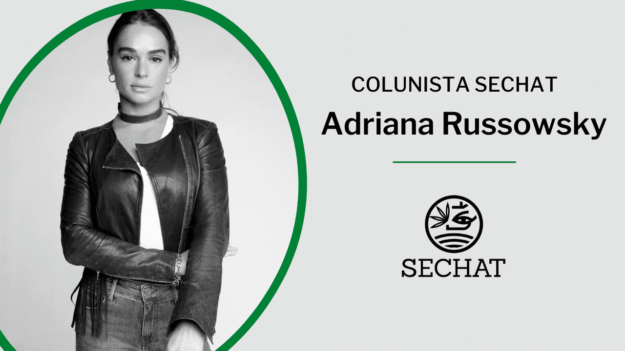 A necessidade do acesso à informação e produtos de qualidade a base de cannabis: uma questão de saúde pública