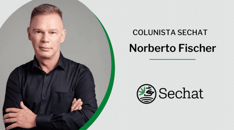 A regulamentação da Cannabis e o momento político