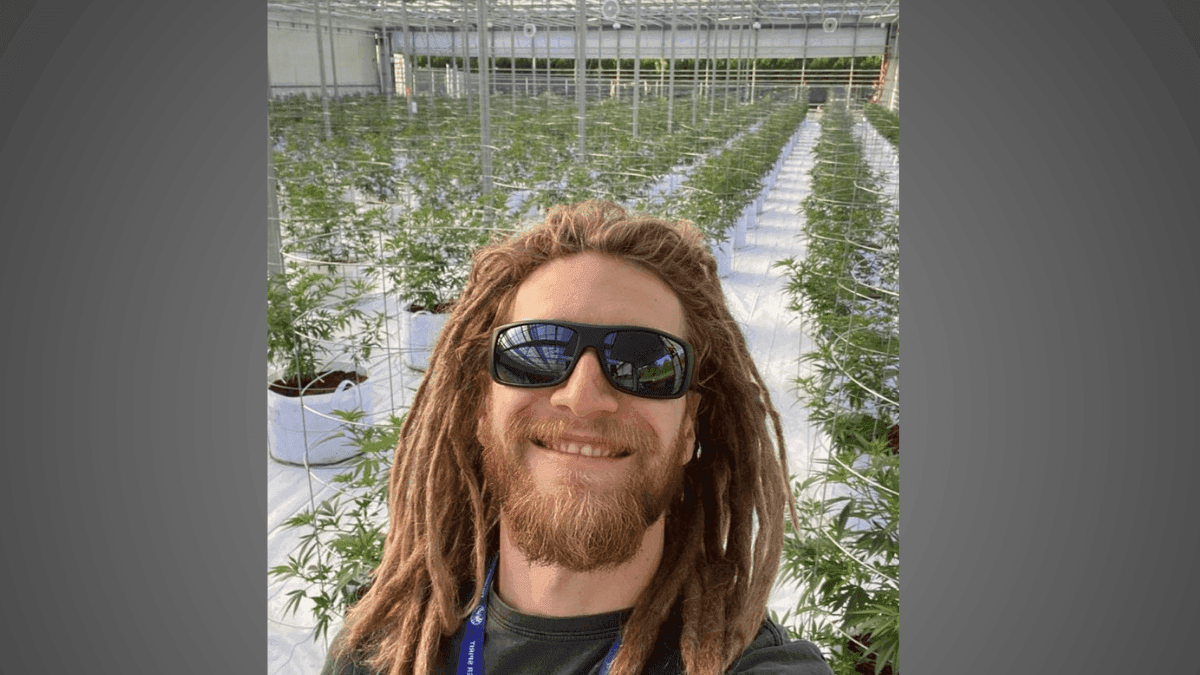 Filho de Caco Ciocler e a plantação de cannabis no Canadá
