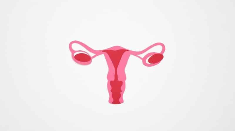 Câncer de colo de útero: o que os estudos dizem sobre o efeitos da cannabis