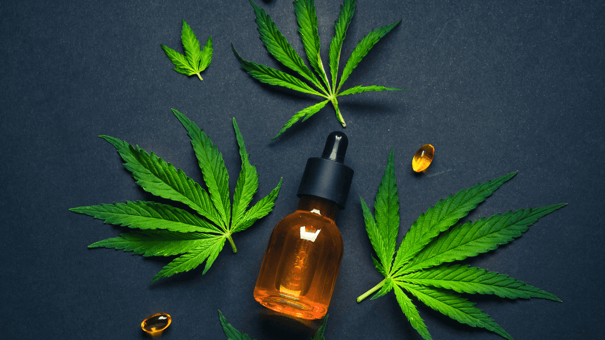 Cannabis medicinal desponta como alternativa segura ao zolpidem em meio a alerta nacional