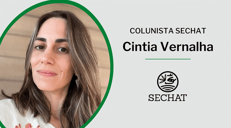 Cannabis e celebridades: uma parceria que pode dar certo