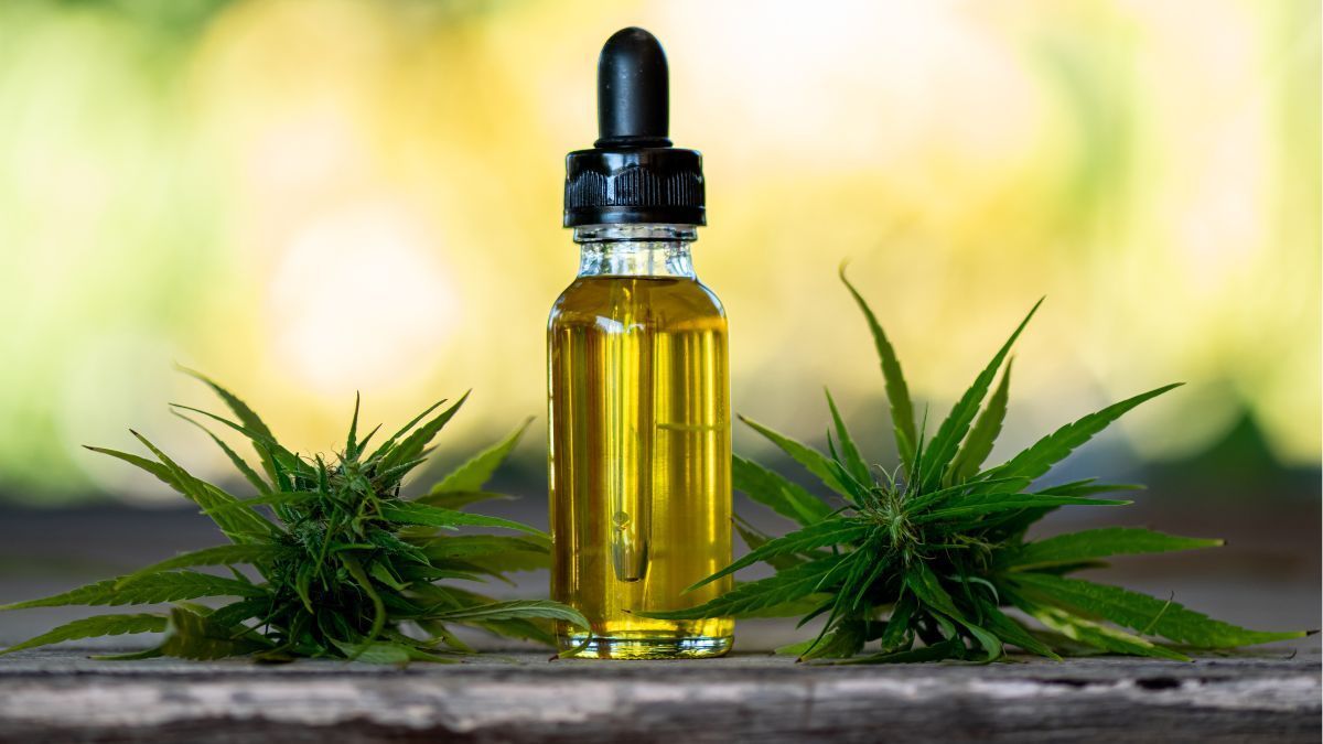 Em tempo recorde: Câmara aprova distribuição de cannabis medicinal e sanção está a caminho