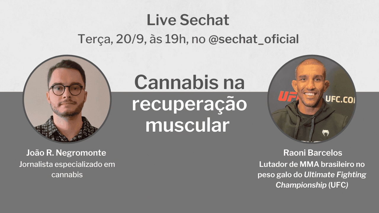 Cannabis na recuperação muscular