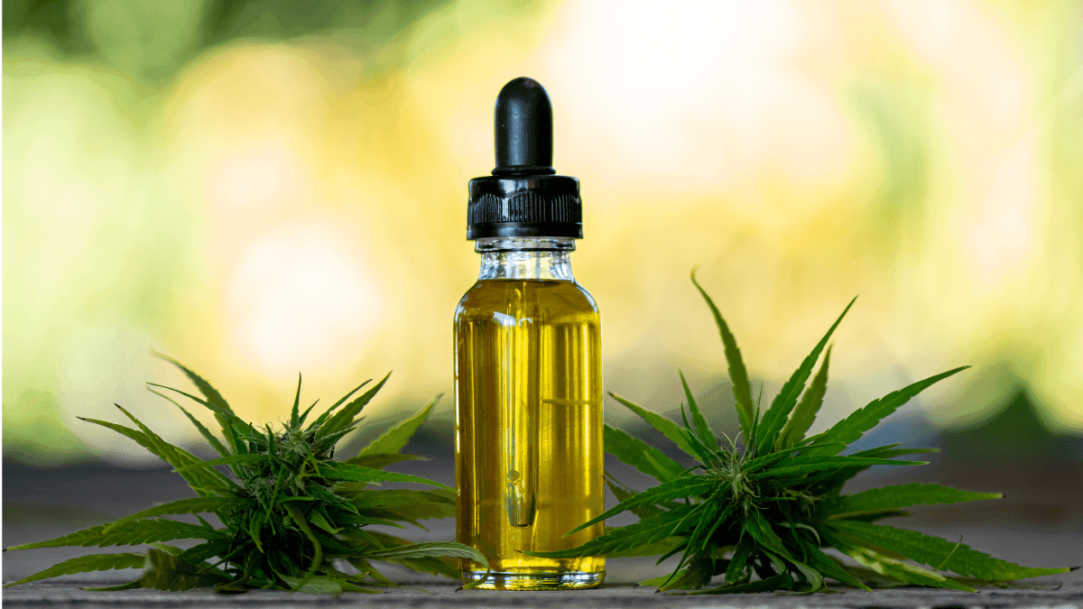 Falha no sistema da Anvisa impede liberação de medicamentos via RDC 660