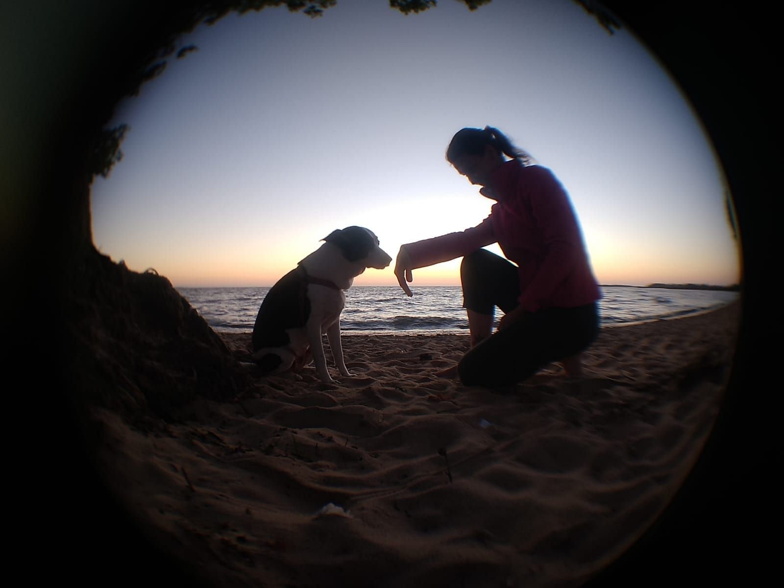"A cannabis me deu a vida de volta", diz Carolina, que trocou a morfina pelo cultivo caseiro