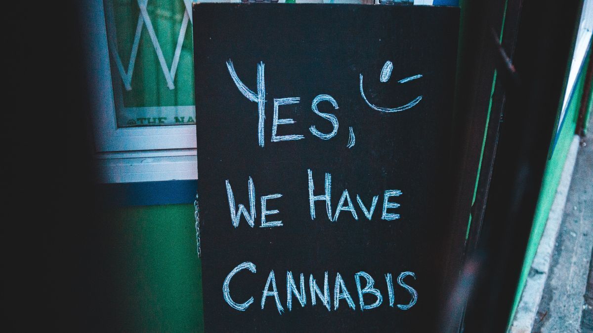 Empresas de cannabis medicinal da Califórnia podem ser beneficiadas por nova regra federal | CanvaPro
