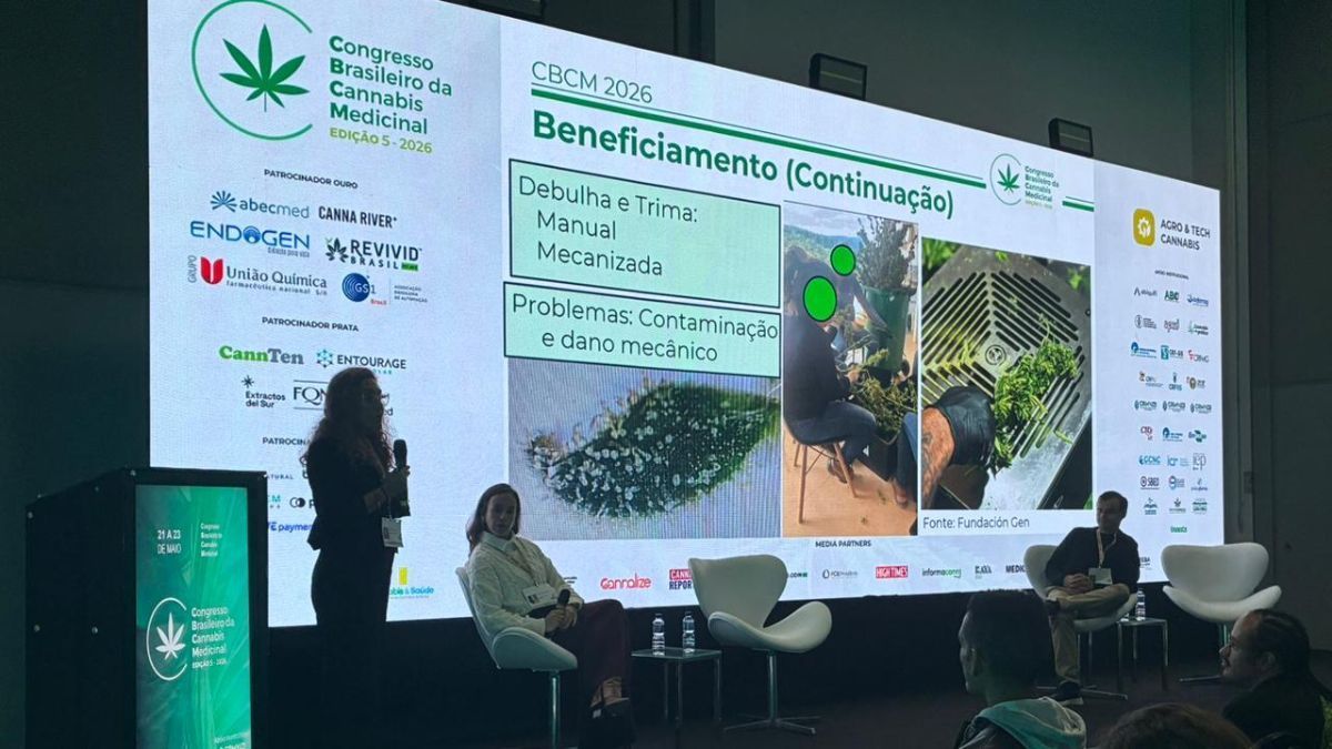 Auditório do Congresso Brasileiro da Cannabis Medicinal com especialistas acompanhando palestras sobre cannabis medicinal em São Paulo | Sechat