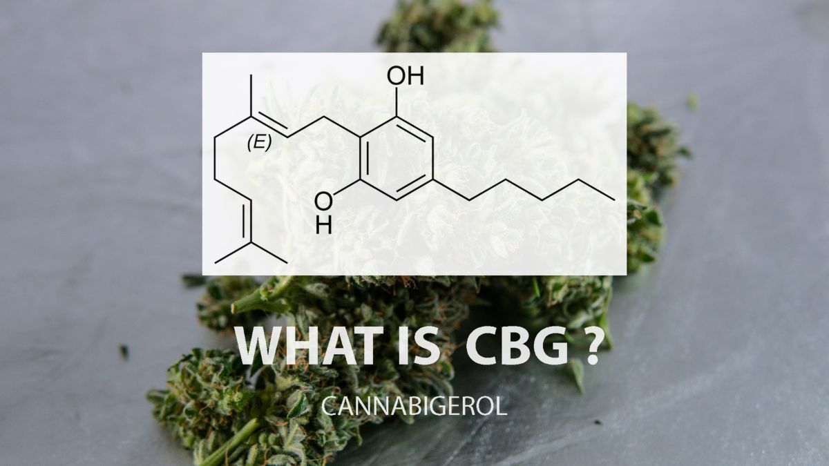 Molécula de CBG (canabigerol), canabinoide da cannabis estudado pela ciência por seus potenciais efeitos terapêuticos