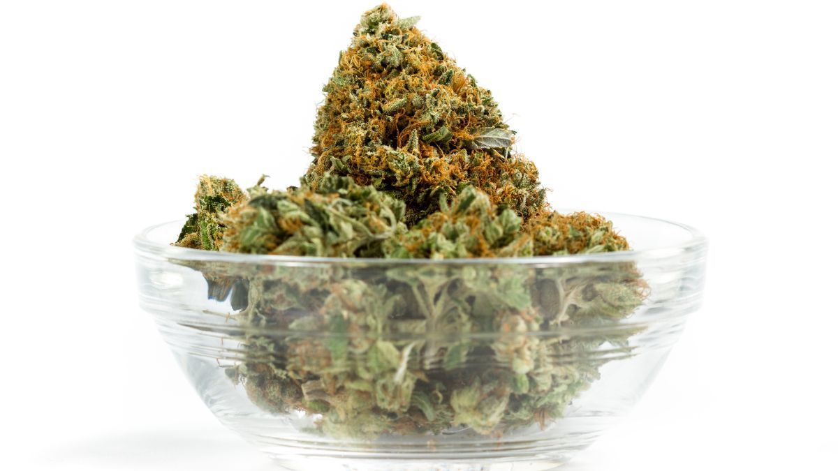 Impacto da legislação da cannabis no crime: o que diz estudo recente | CanvaPro