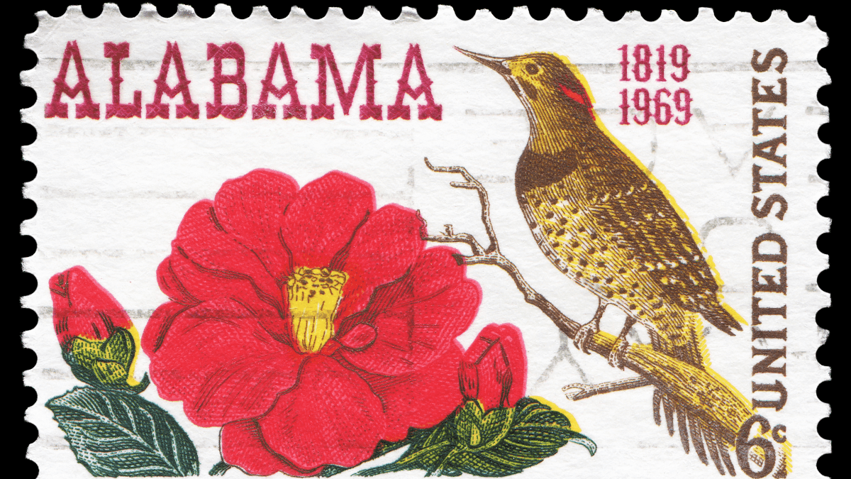 Mercado de cannabis medicinal finalmente ganha data para começar no Alabama