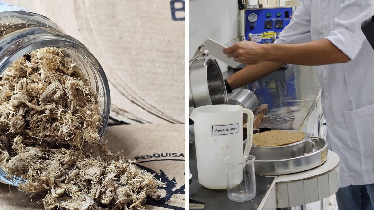 Pesquisa da UFV avalia uso de fibras de cânhamo para reforçar papel reciclado