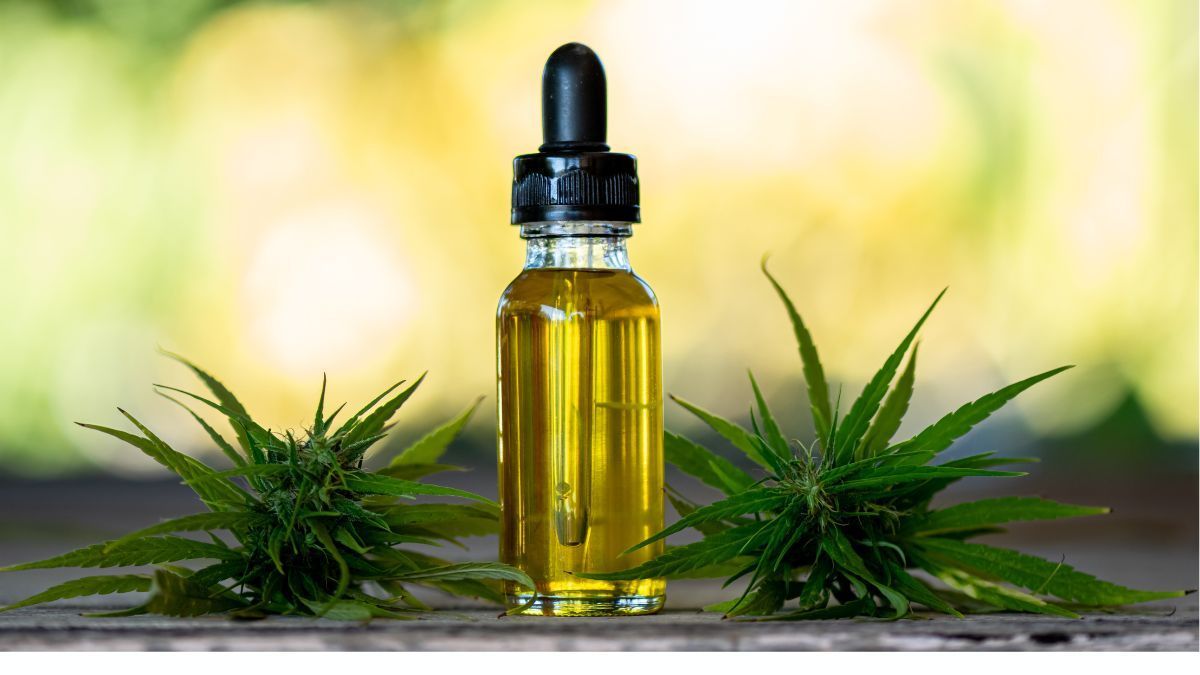 Carmen’s Medicinals lança no Brasil óleos de cannabis com THC e CBD para ampliar opções terapêuticas