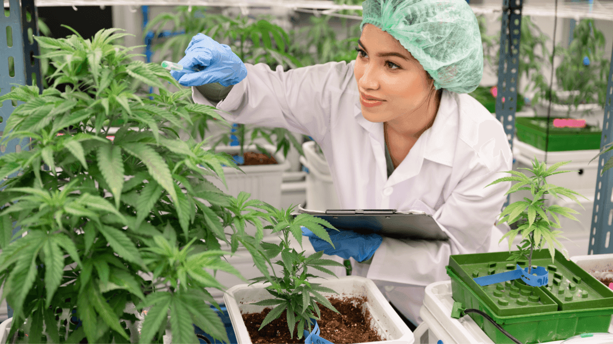 Estudantes de medicina da Bristol Medical School durante aula sobre cannabis medicinal no Reino Unido