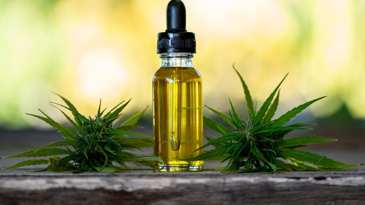 Cannabis medicinal avança na Alemanha e impacta uso de fármacos tradicionais | CanvaPro