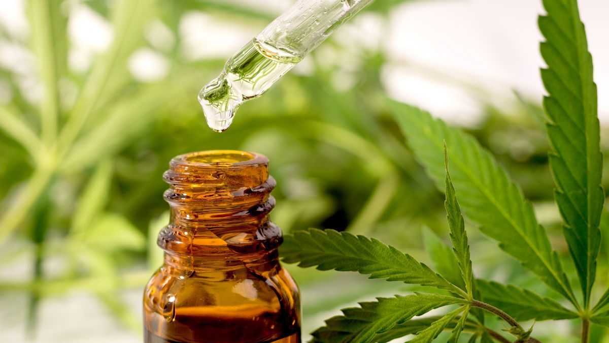 Pacientes franceses seguem sem acesso à cannabis medicinal apesar do apoio popular | CanvaPro