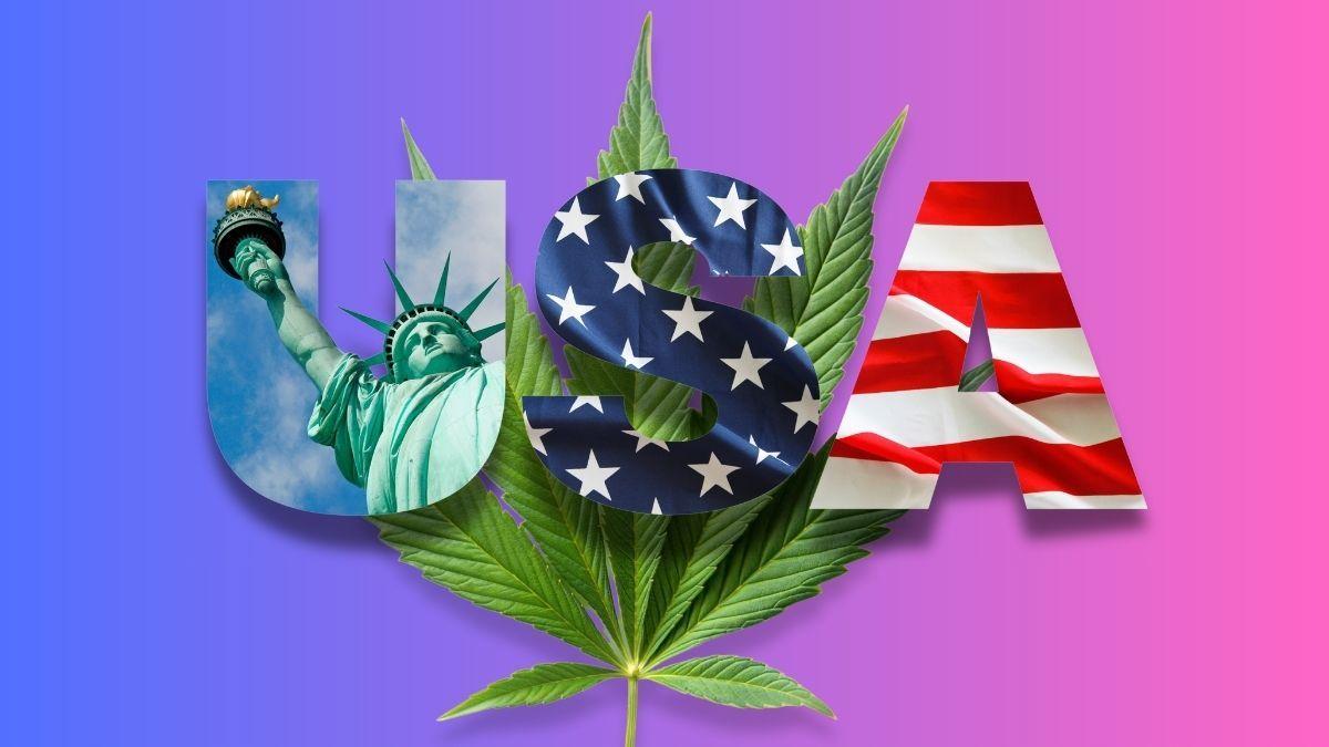 A Reclassificação da Cannabis nos EUA e o Realinhamento do Mercado Global