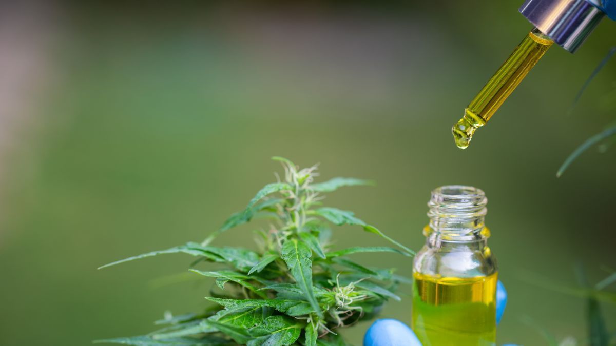 Criança com autismo recebe tratamento com canabidiol após decisão do Tribunal de Justiça de Minas Gerais