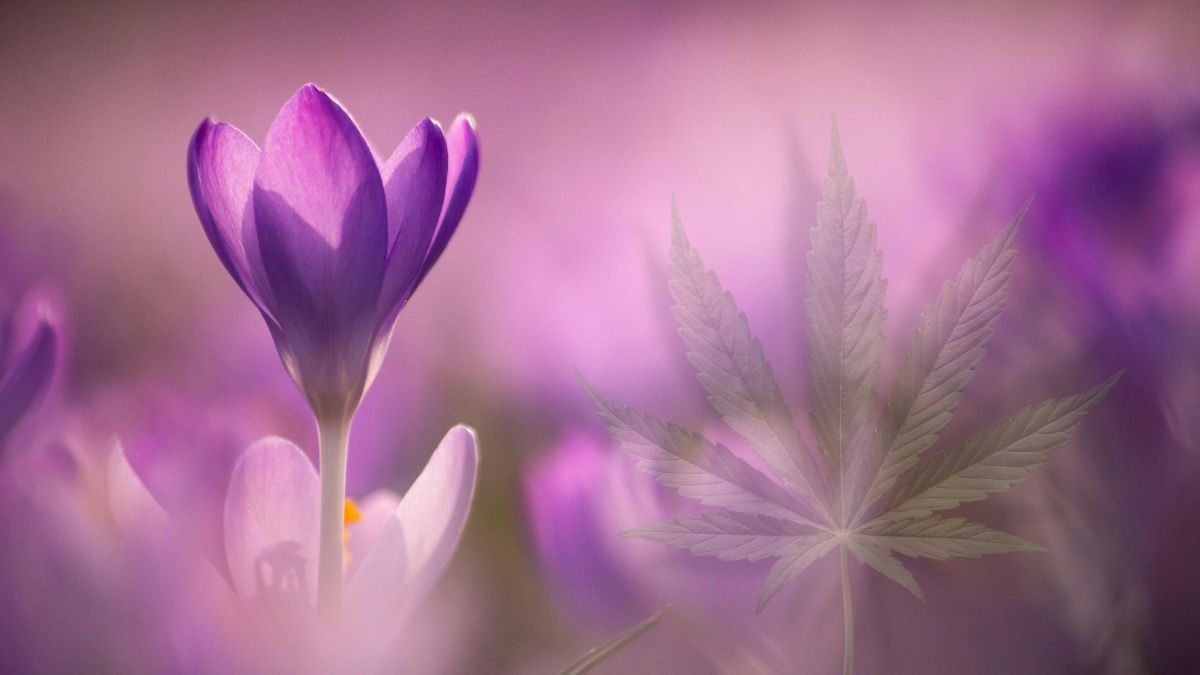 Paciente com epilepsia em tratamento com cannabis medicinal durante campanha Março Roxo de conscientização