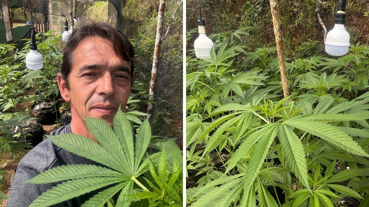De crises convulsivas à estabilidade: como a cannabis medicinal transformou a vida de Fernando