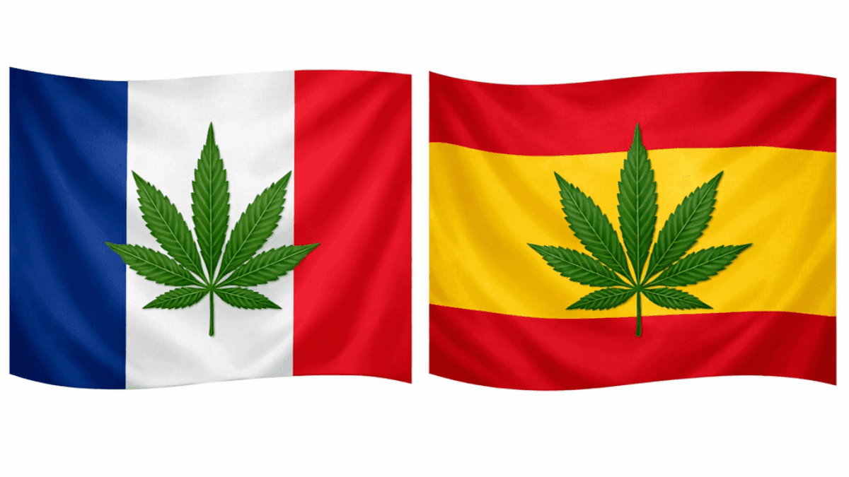 Espanha e França priorizam modelos padronizados de cannabis medicinal