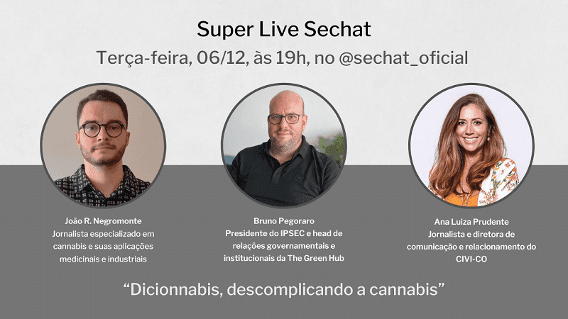 Live Sechat: “Dicionnabis, descomplicando a cannabis”