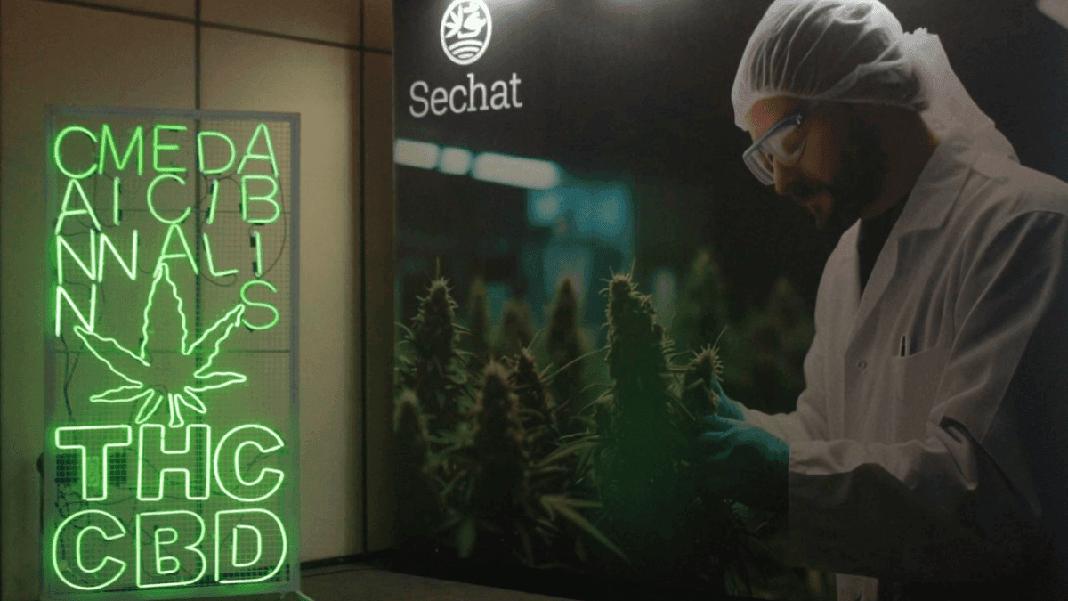 Feira se consolida como principal ponto de encontro do setor de cannabis medicinal no Brasil