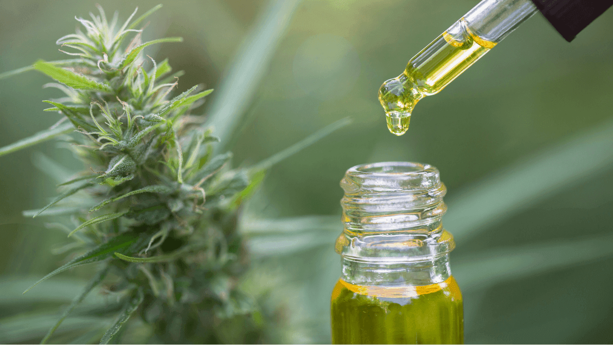 Famílias de Betim podem receber cannabis medicinal pelo SUS