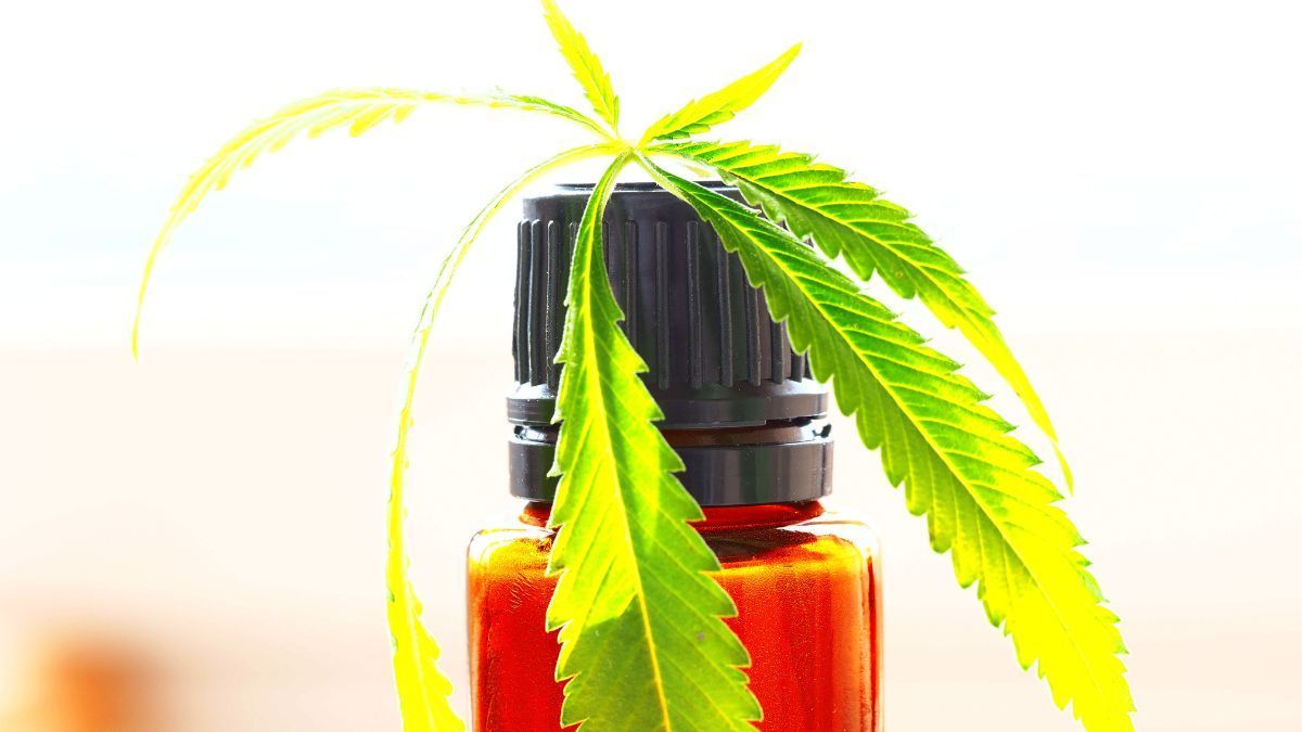 CBD isolado, broad ou full spectrum? Saiba qual óleo de cannabis é indicado para cada caso