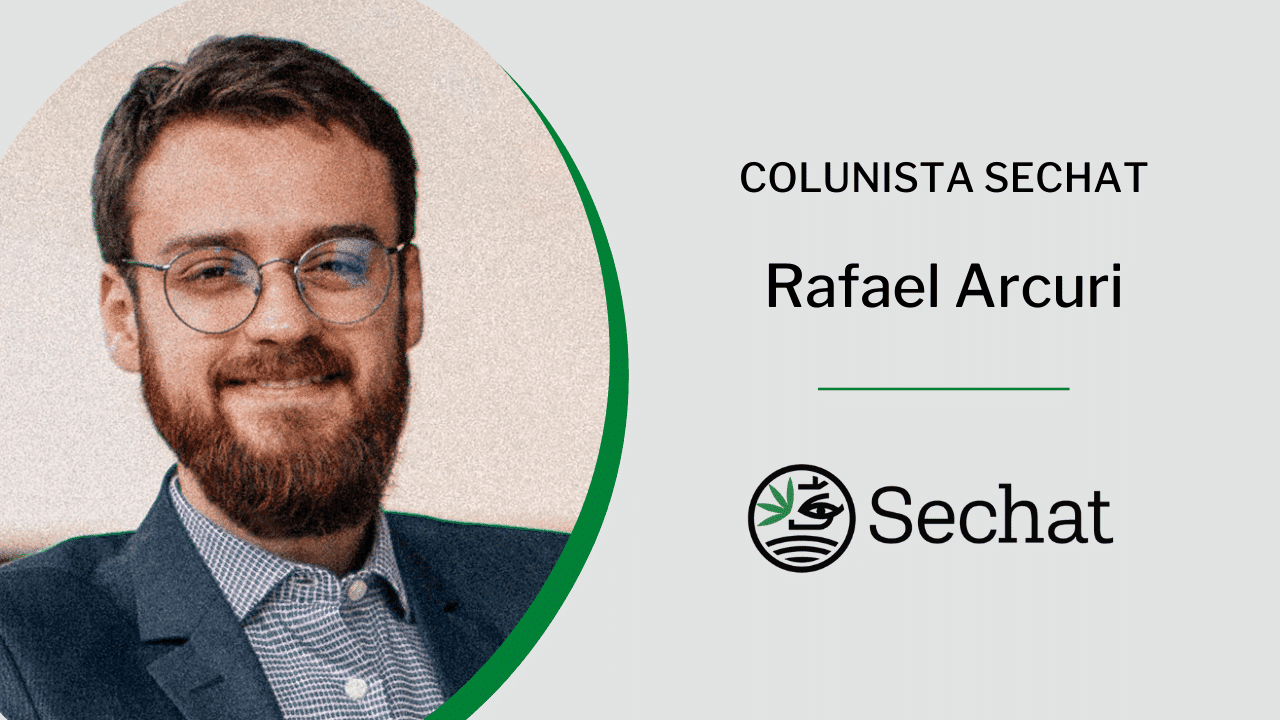 Para regular o cultivo da cannabis, falta o agro comprar a ideia