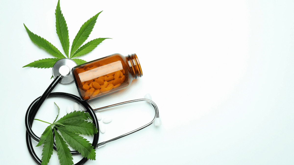 Projeto da USP e Santa Casa de SP investiga impactos da cannabis medicinal em 2.500 pacientes