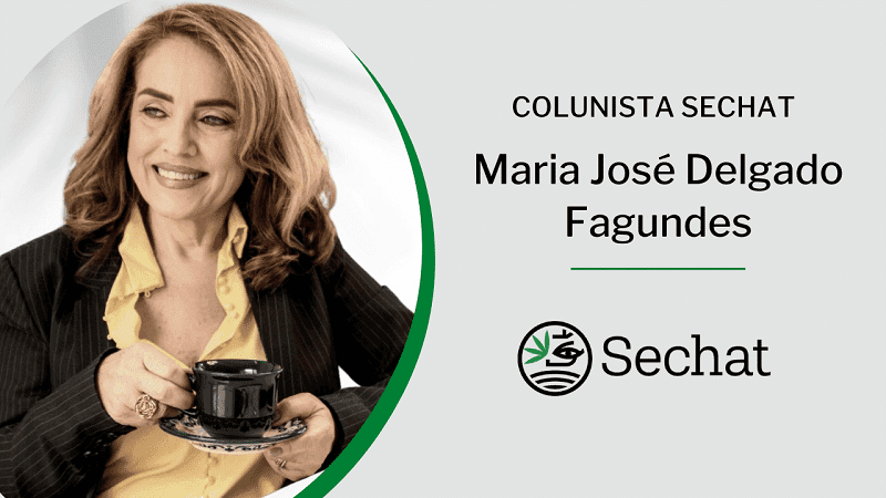 Pesquisa clínica em cannabis: universidades precisam acelerar