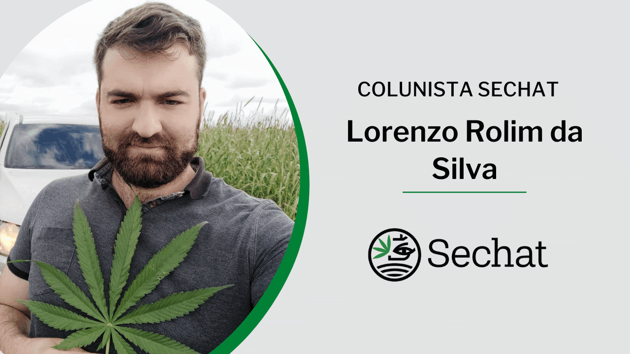 Preço dos combustíveis nas alturas: como o Cânhamo pode nos ajudar?