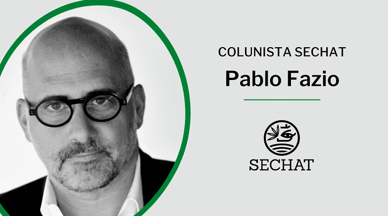 Realidades e expectativas da indústria da cannabis na Argentina