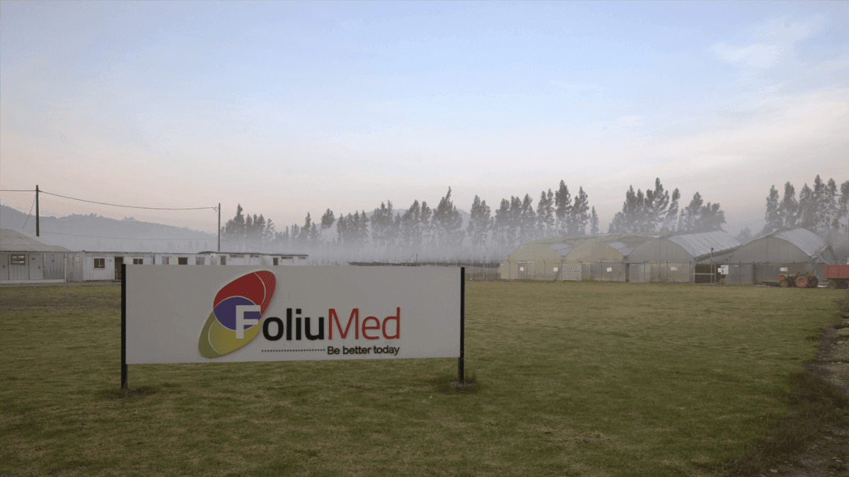 FoliuMed: onde o sol da Colômbia encontra a esperança dos pacientes brasileiros