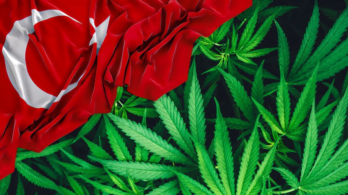 Turquia aprova venda de cannabis medicinal em farmácias