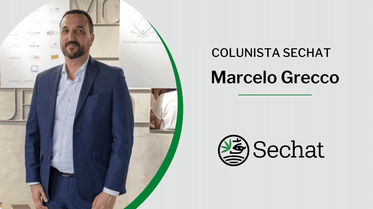 Um voto em favor da cannabis é o compromisso de todos nós