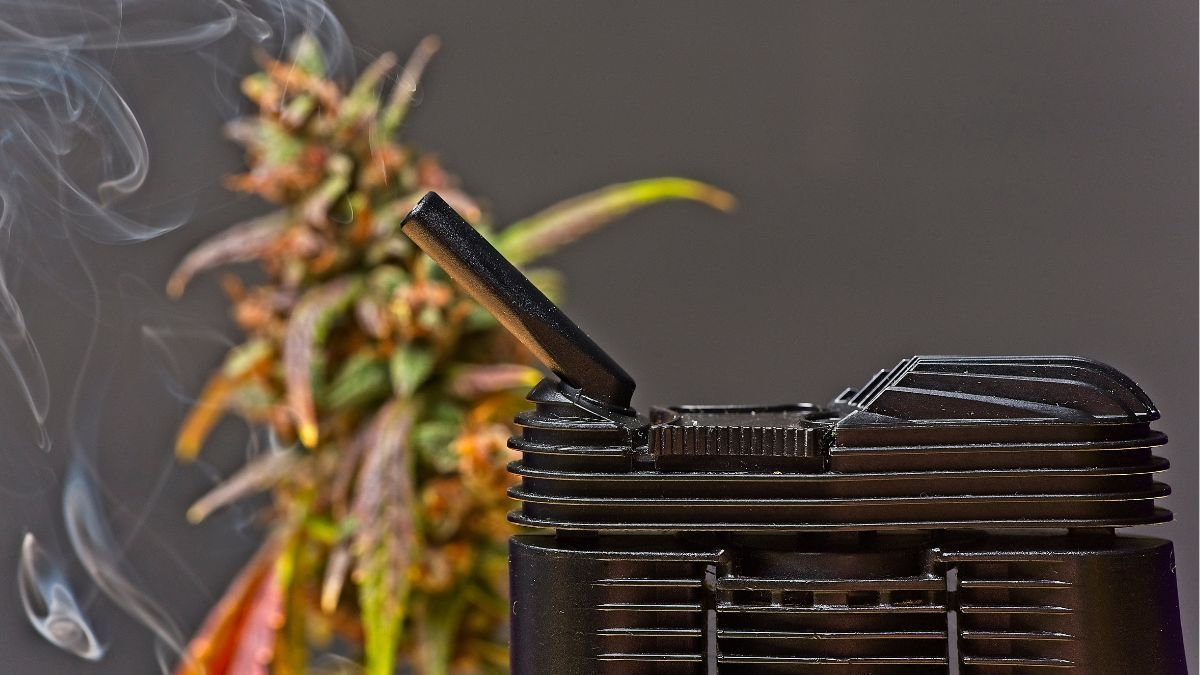 Mercado de vaporizadores de cannabis deve saltar para US$ 17,11 bilhões até 2032