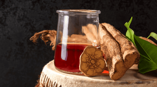 Imagem da noticia: Ayahuasca is used by security forces to find missing children in the Colombian jungle