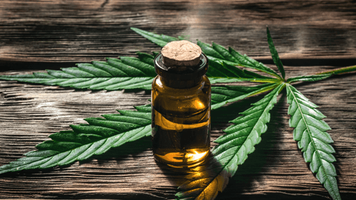 QUI - Canabidiol full spectrum: por que a formulação completa da cannabis melhora o tratamento da dor crônica